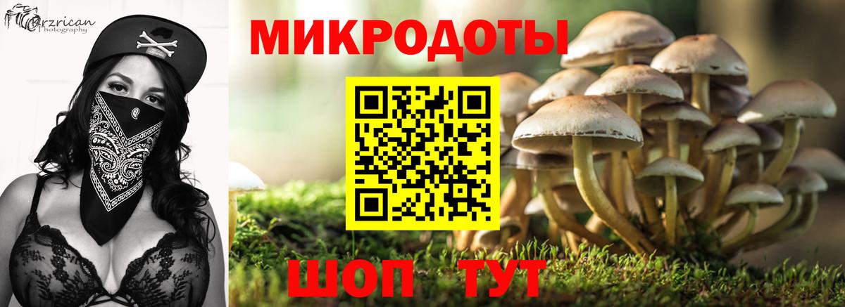 Псилоцибиновые грибы MAGIC MUSHROOMS Жуковский